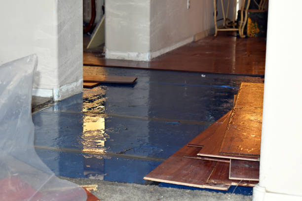 Professional Basement Flood Cleanup technician working in Reader, WV